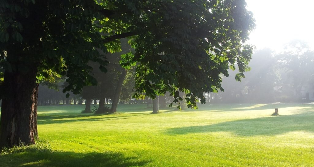 parc barbieux roubaix